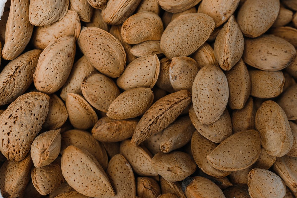 Almonds held in a hand, almond cultivation